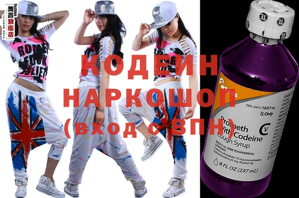шишки Богородск