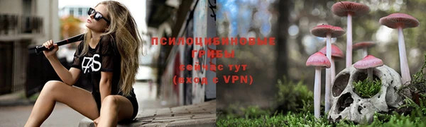 не бодяженный Бородино