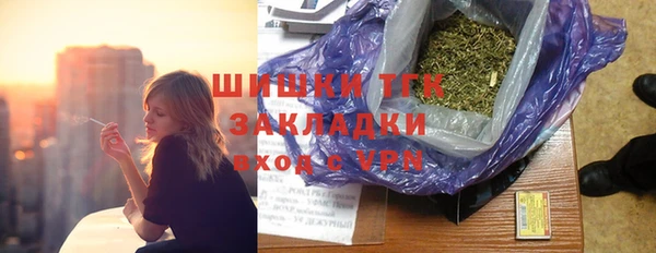 шишки Богородск