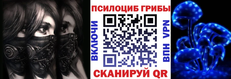 Купить где  Воркута  Галлюциногенные грибы Magic Shrooms 